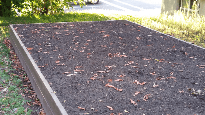 Phil made me this new garden. Next spring, watch out!