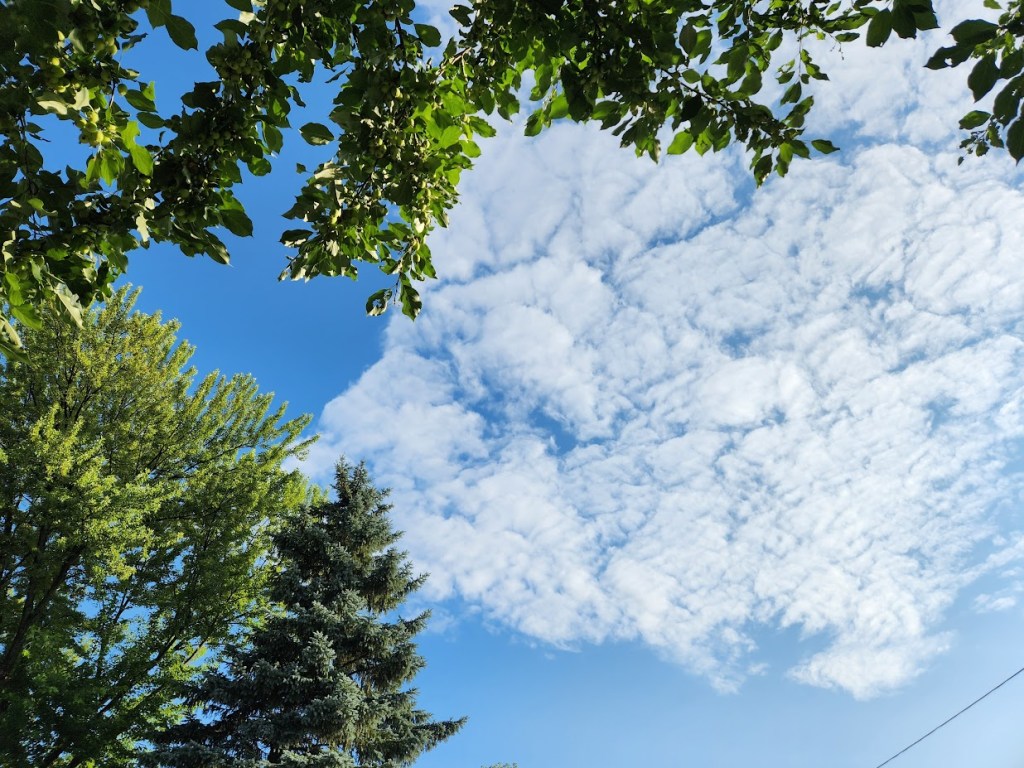 A picture of clouds.