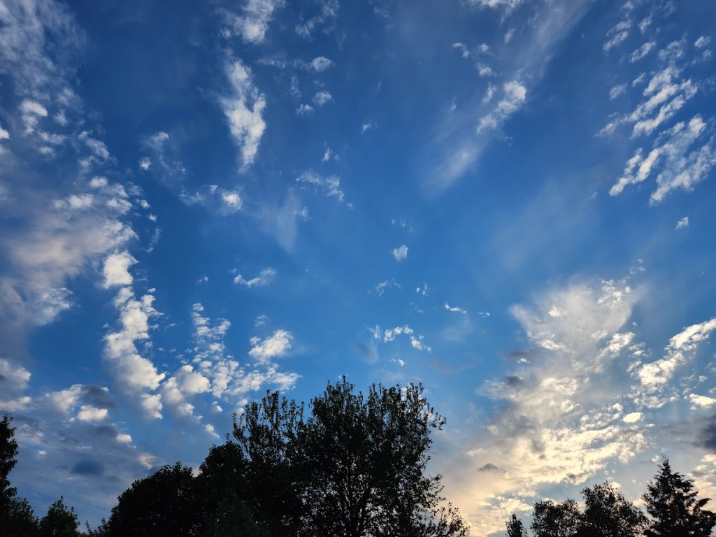 Picture of a cloud-speckled evening sky above trees.