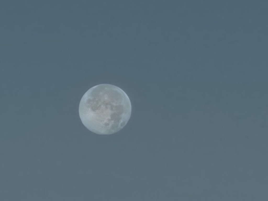 Picture of the full moon.