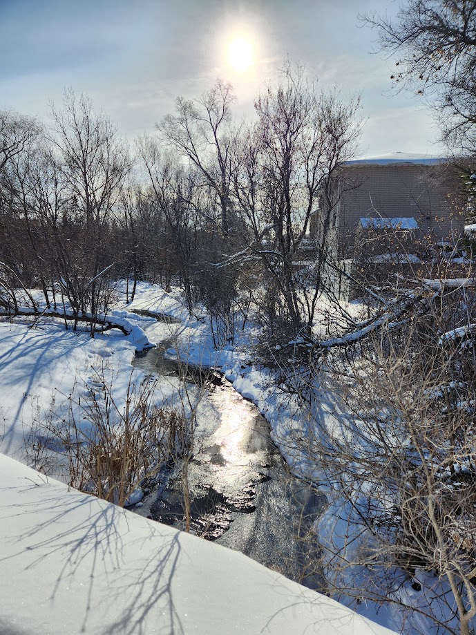 Image of Junction Creek on a bright winter day.