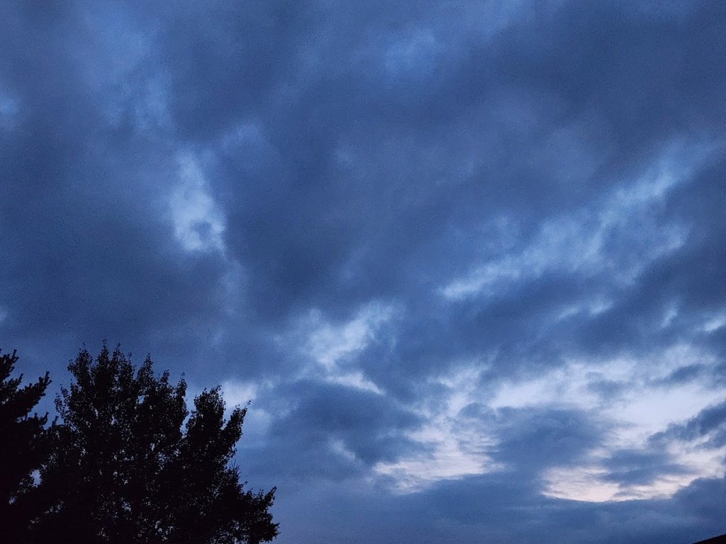 A picture of a dusk sky with dark clouds and a tree silhouetted in the lower left corner.