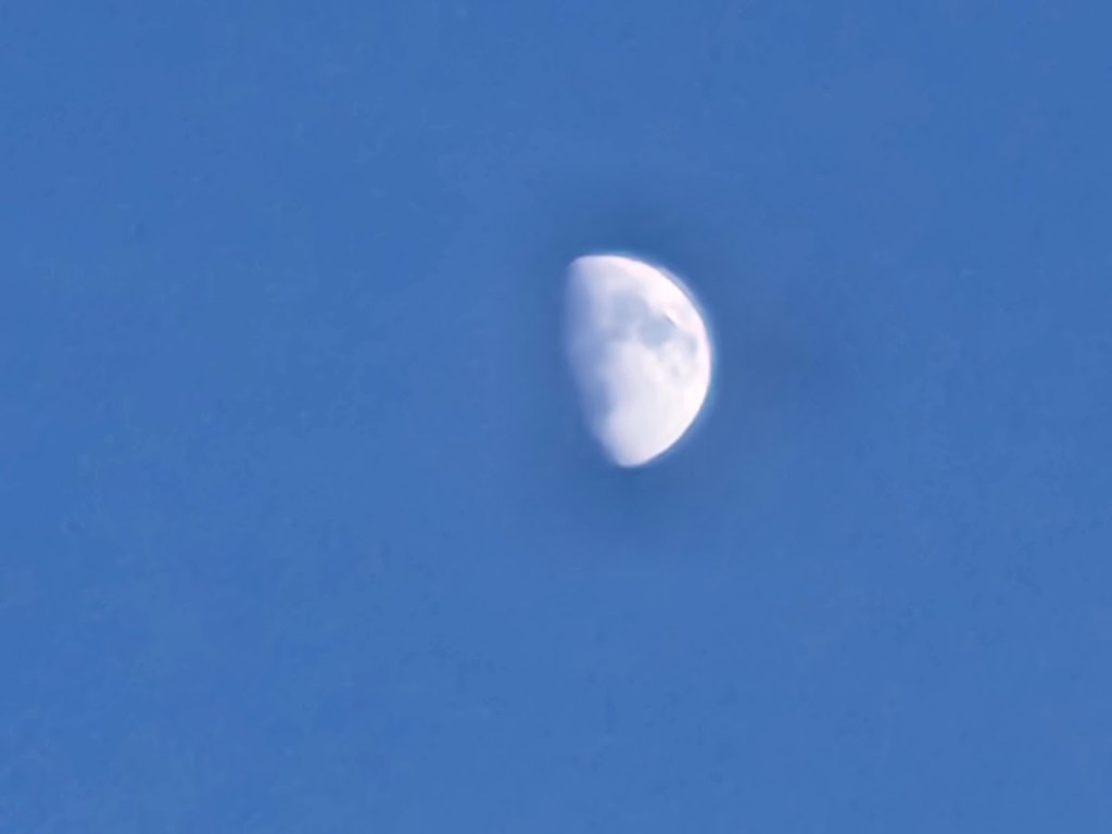 Picture of the first quarterish moon.