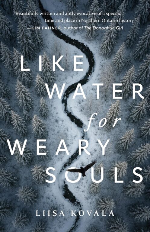The cover of Like Water for Weary Souls.