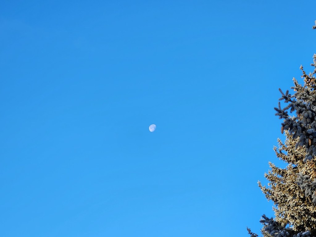 A picture of the three quarter waning moon.