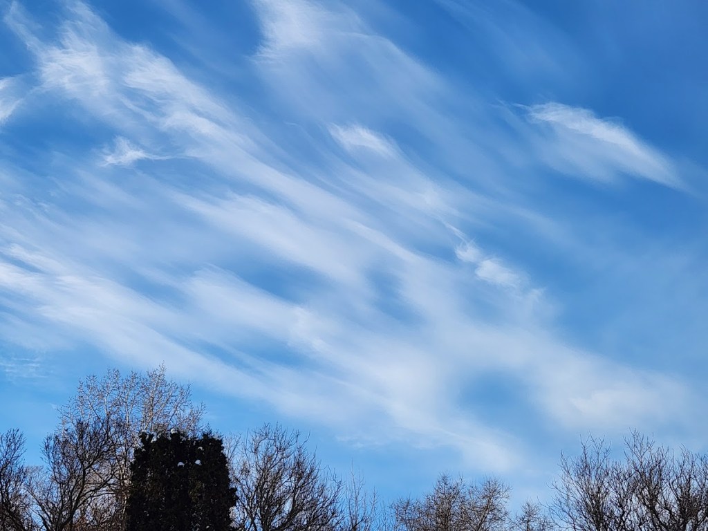 A sky with windswept clouds.