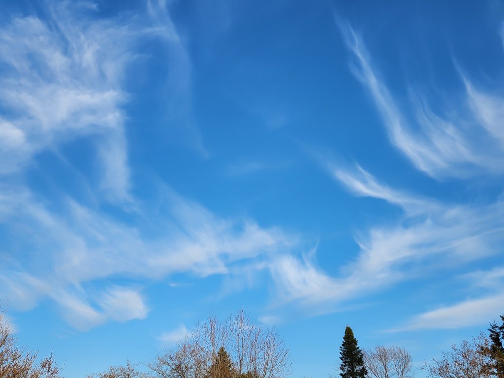 A sky with windswept clouds.